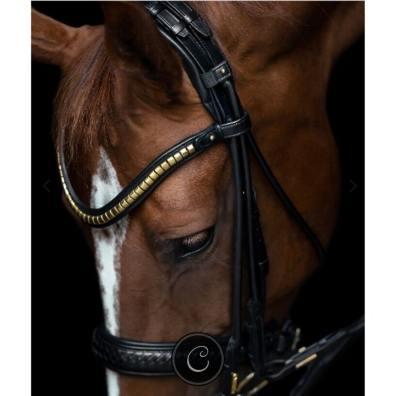 Utzon Olympic Double Bridle