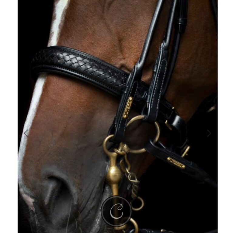 Utzon Olympic Double Bridle