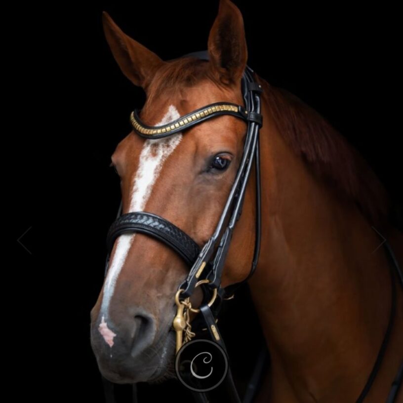 Utzon Olympic Double Bridle