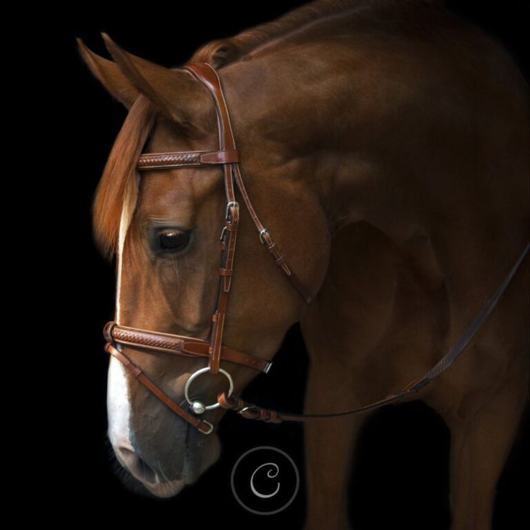 Uzton Grand Prix Showjumping Bridle
