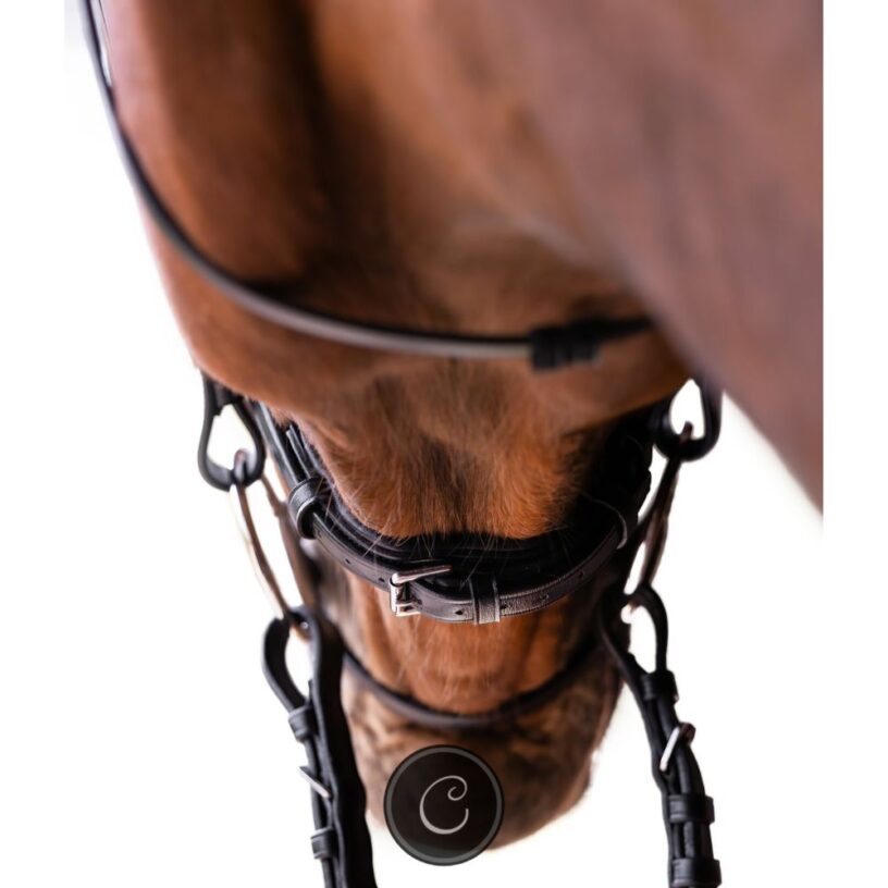 Uzton Grand Prix Showjumping Bridle