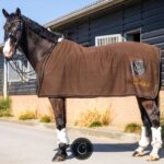 equest custom deken climaterm