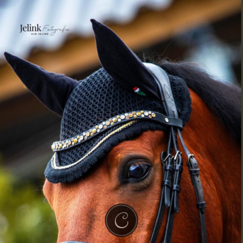 Equiline custom oornetje pony