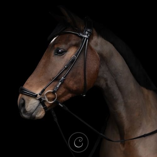 Uzon Hanoverian edinburgh