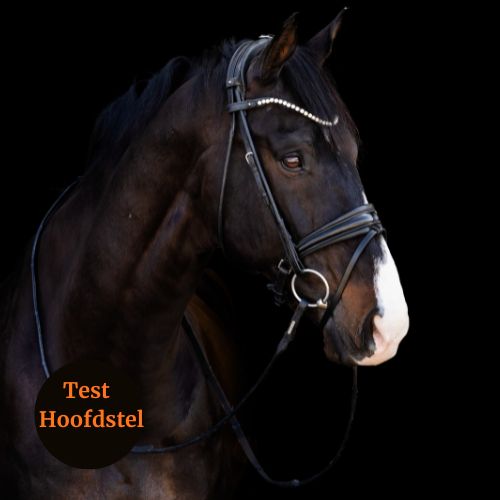 Utzon test hoofdstel trens