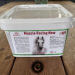 muscle racing equiplanet