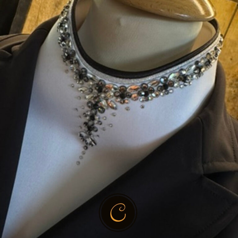 plastron van Plastronique